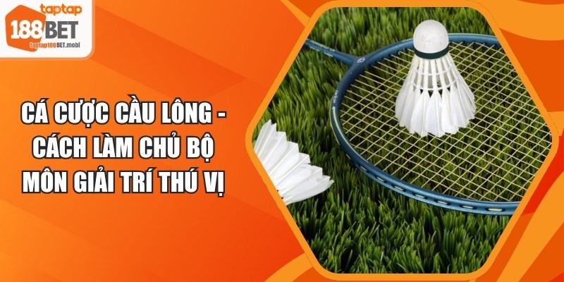Cá Cược Cầu Lông